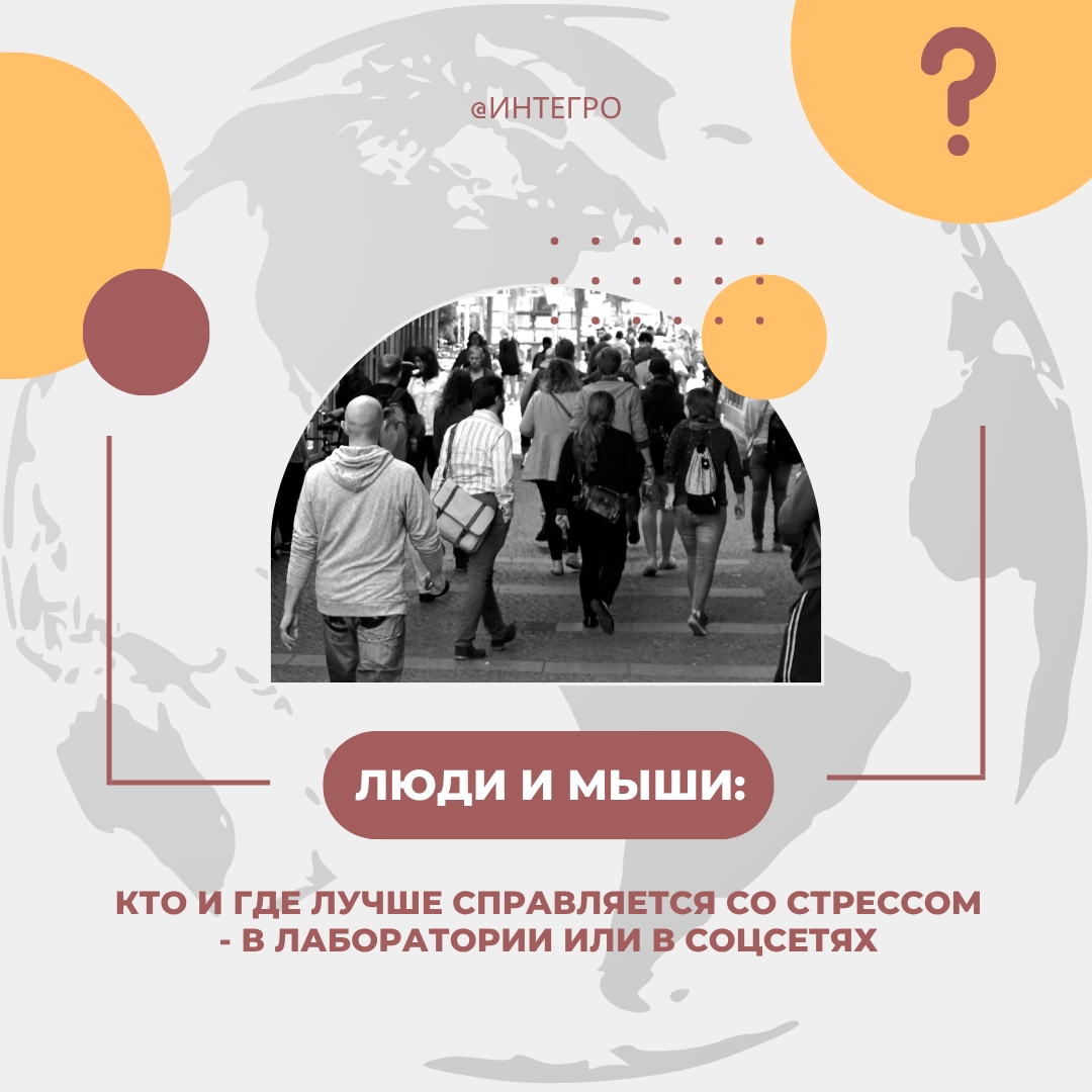 Кто и где лучше справляется со стрессом, эксперимент с мышами